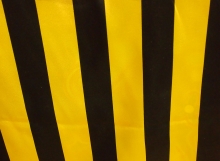 RasoEst21